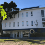 Alquiler Departamento O2